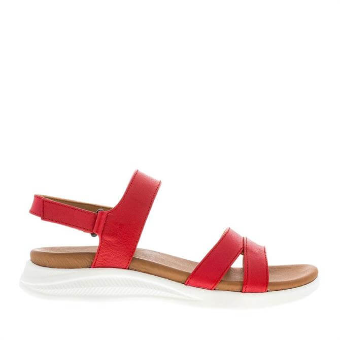 Carl Scarpa Sage Red Leather Sandals